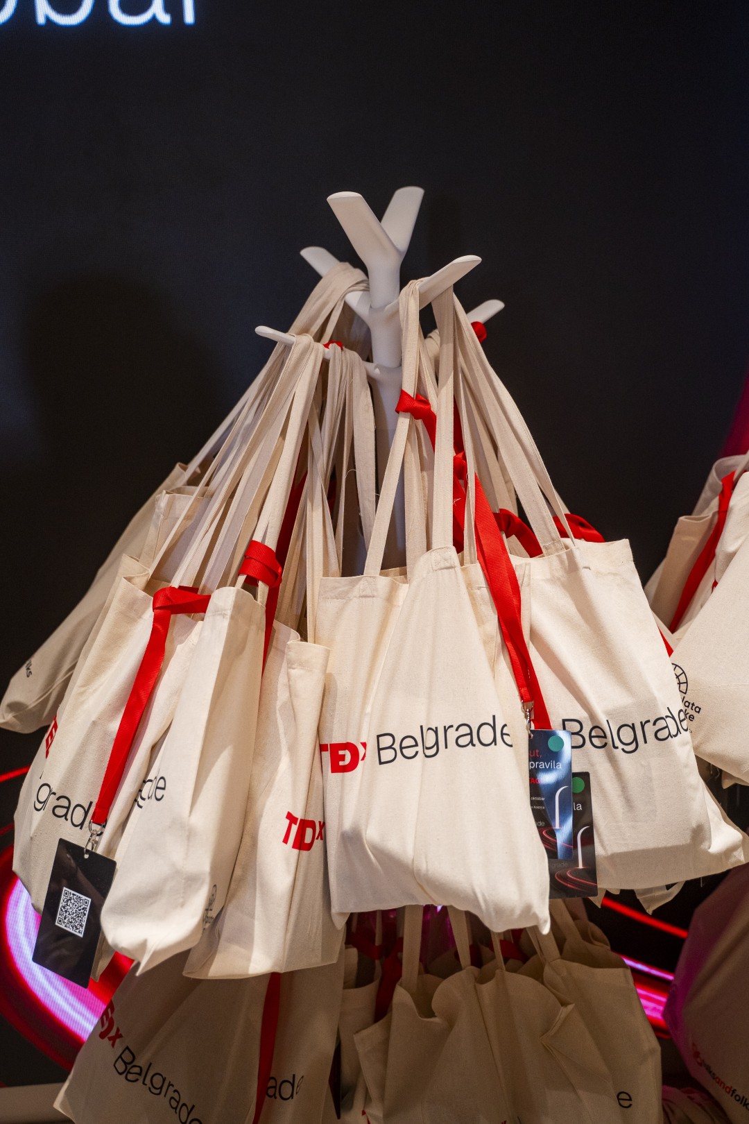 TEDxBelgrade doga??aj - DSC04031